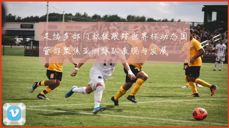 足协多部门积极跟踪世界杯动态国管部聚焦亚洲球队表现与发展